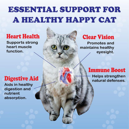 PurrVita cat taurine container highlighting coat health and vitality benefits