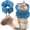 FACULX Cat Recovery Collar front view on a small kitten