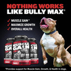 Close up of Bully Max kibble size for all dog breeds