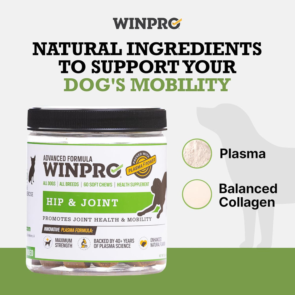 Porcine plasma powered dog joint supplement jar for arthritis and stiffness relief