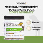 Porcine plasma powered dog joint supplement jar for arthritis and stiffness relief