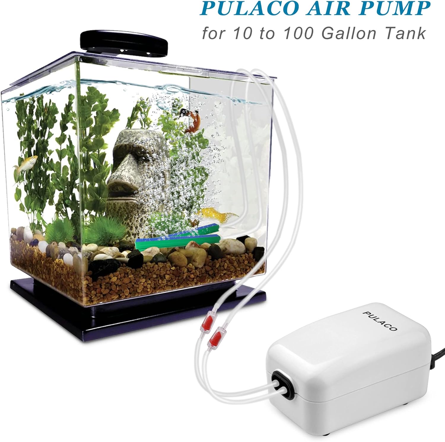 Pulaco air pump setup kit with air stones and connectors
