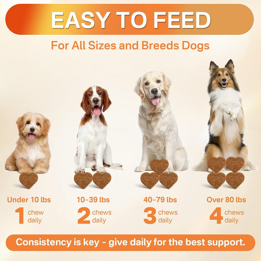 Puyrzoe five in one wellness chews showing ingredient breakdown