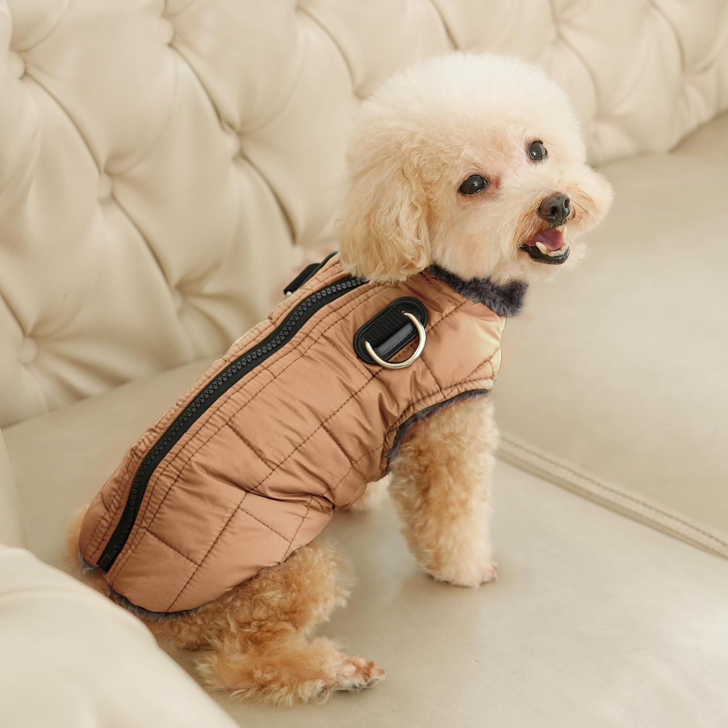 JoyDaog winter puppy jacket packaged and ready for seasonal outdoor use