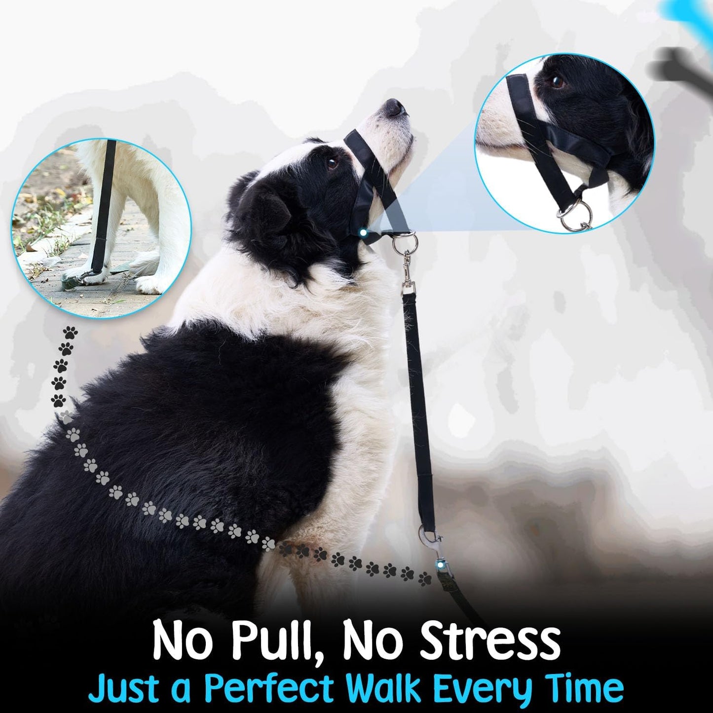 Adjustable black head halter designed for large dogs to prevent leash pulling.