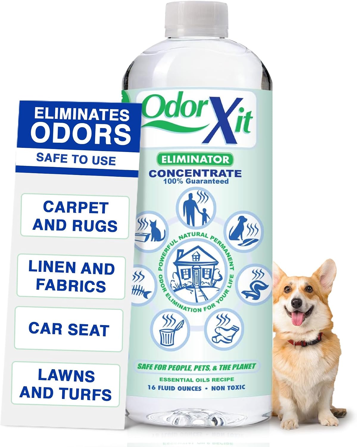 Pet Urine Odor Eliminator Spray, Ideal for Cat, Dog Poo and Urine Smell, Versatile & Natural Odor Neutralizer for Home and Outdoor Use, Ready to Use, 16oz - Image 10