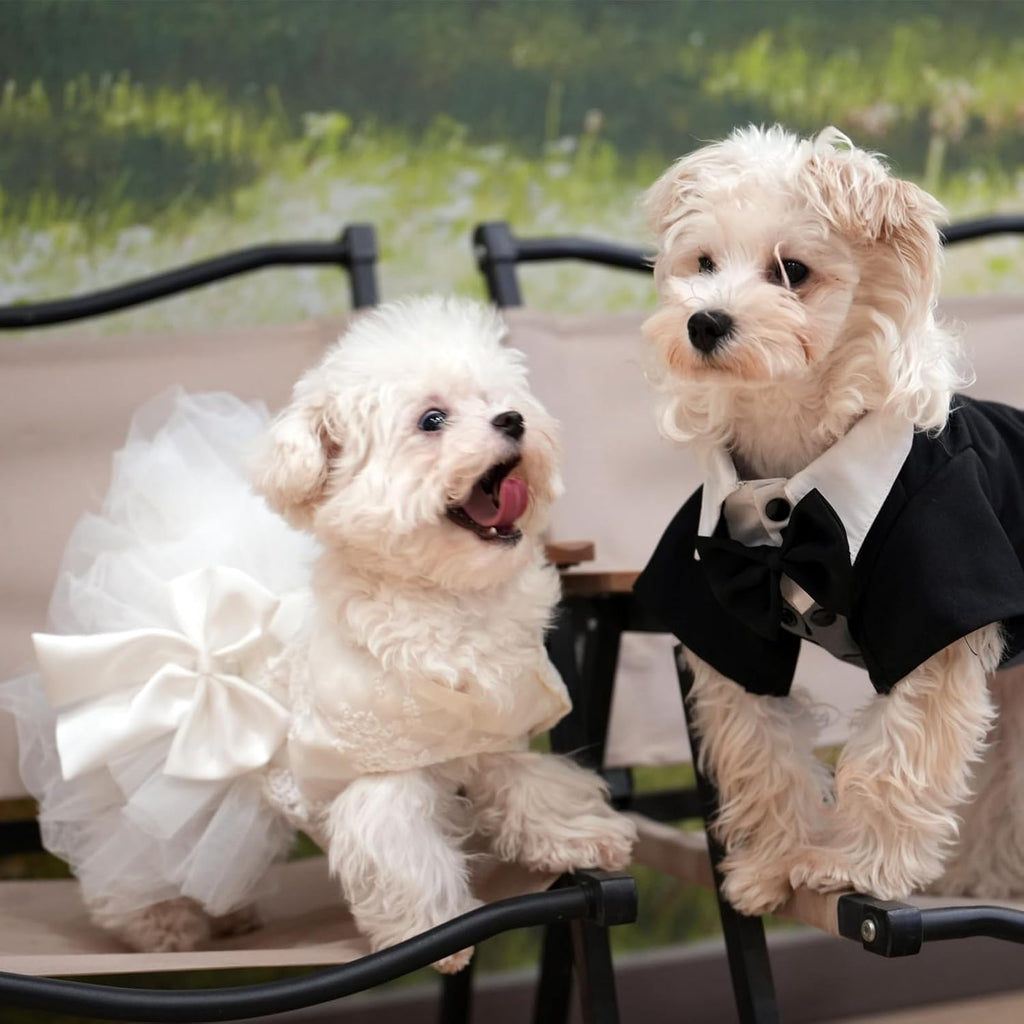 Large female dog wearing MAMORE white lace wedding gown side profile view