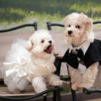 Large female dog wearing MAMORE white lace wedding gown side profile view