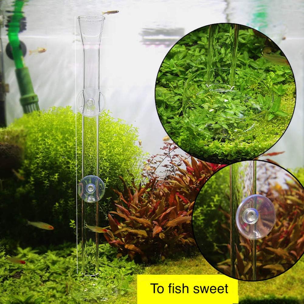 AnxunJim 10 inch shrimp feeding dish set with suction cups overview