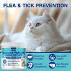 Asumtal natural oral cat flea treatment supplement jar showing kitten and adult cat care packaging