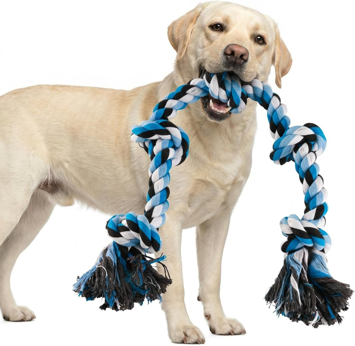 BMAG Dog Rope Toy front view showing the five tight knots in blud color variant.