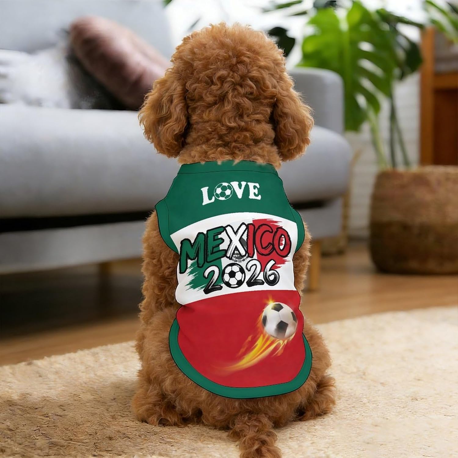 Cooling ice silk fabric detail of Mexico pet soccer shirt