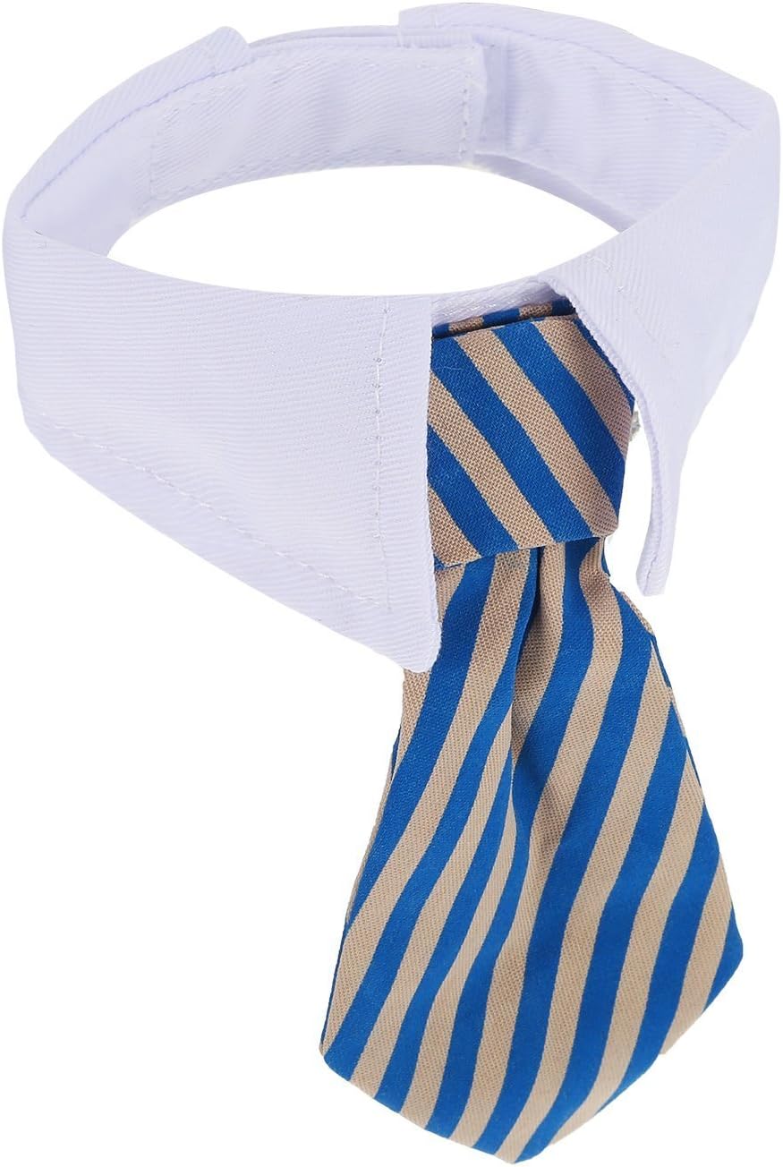 Cat dressed in formal Shappy necktie for photography