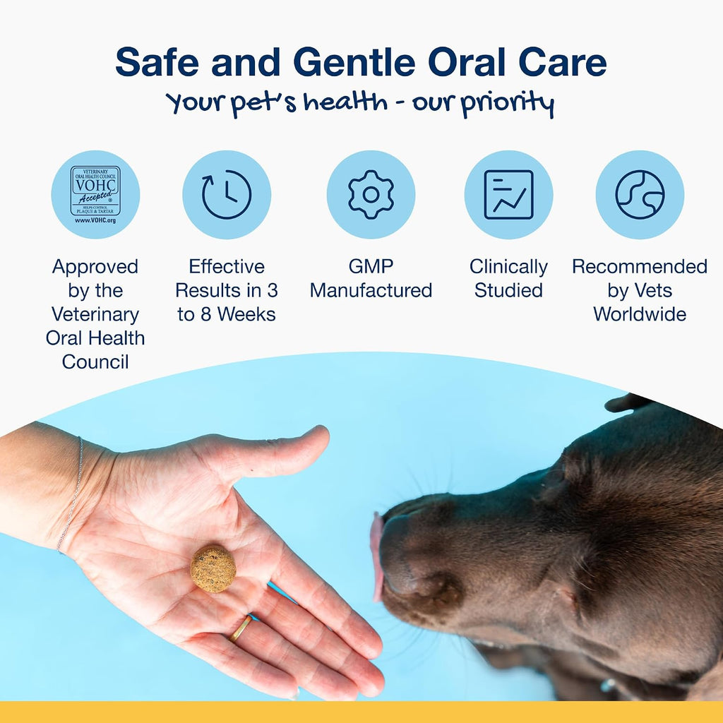 ProDen PlaqueOff Dental Soft Chews with Natural Kelp for Dogs - 45 Ct - Image 3