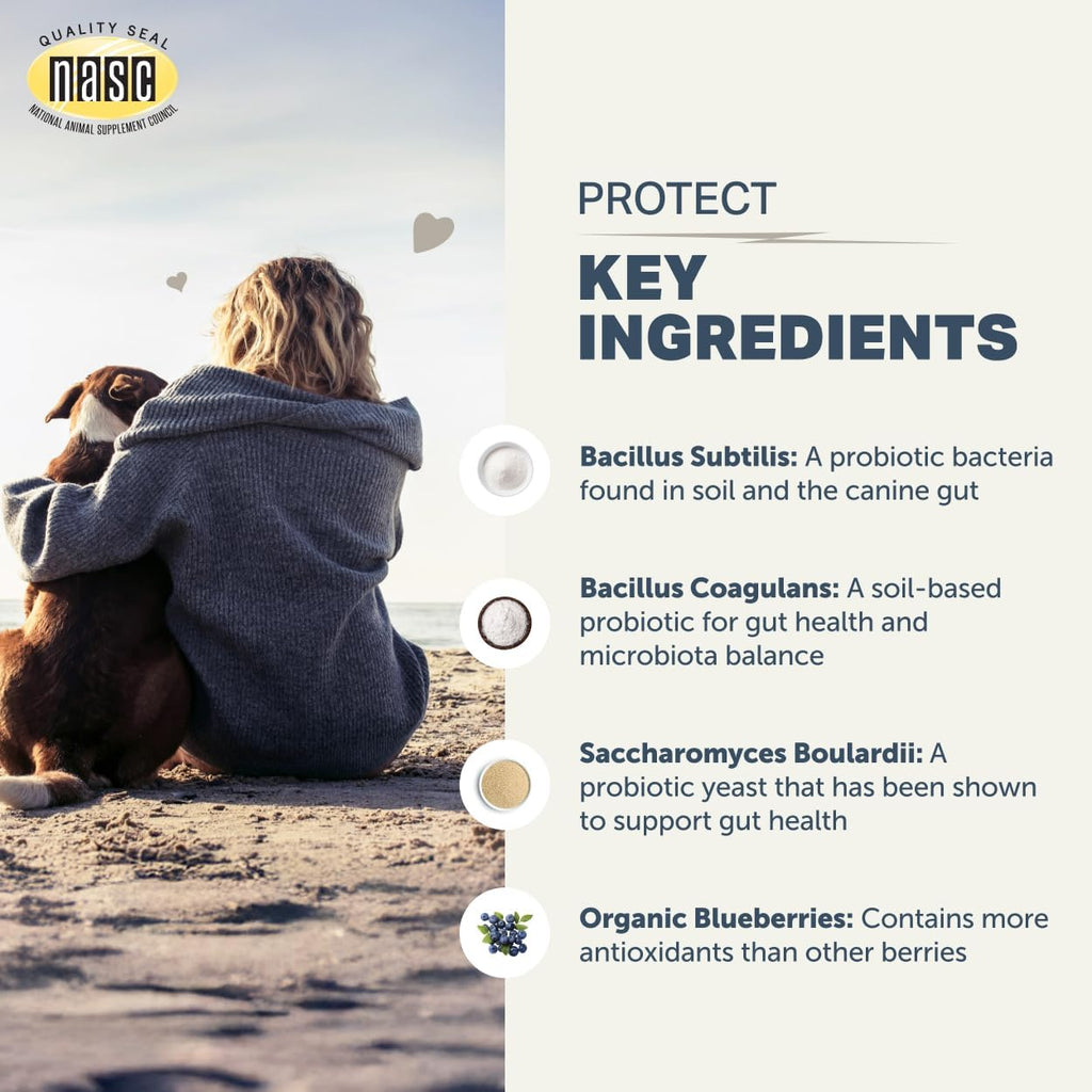 Four Leaf Rover Protect 3.3 ounce pet wellness supplement