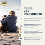 Four Leaf Rover Protect 3.3 ounce pet wellness supplement
