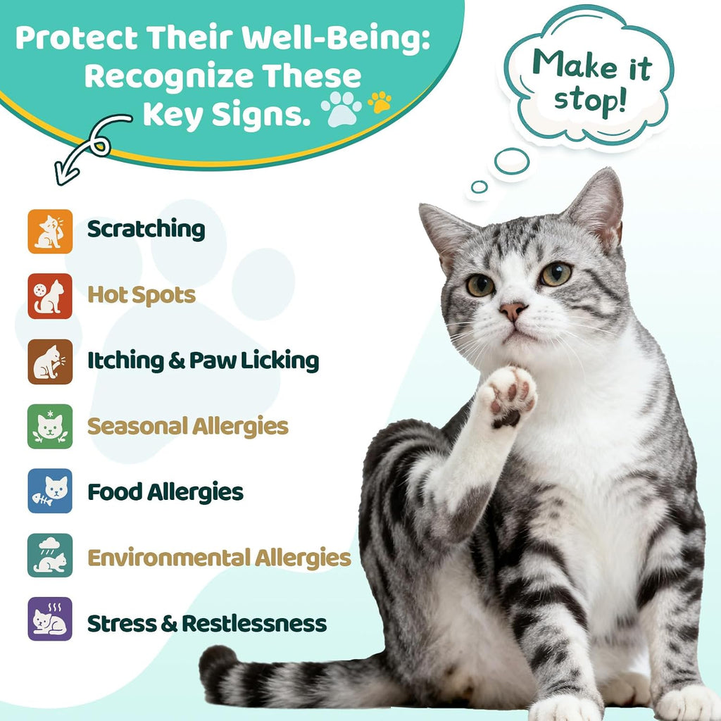 Wagmee natural cat seasonal allergy supplement chicken flavored liquid dropper closeup.