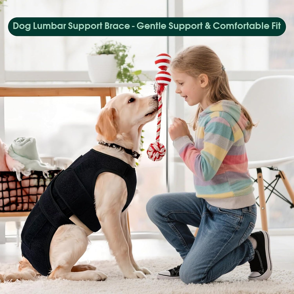 LETSQK dog mobility aid close up on the premium breathable fabric material