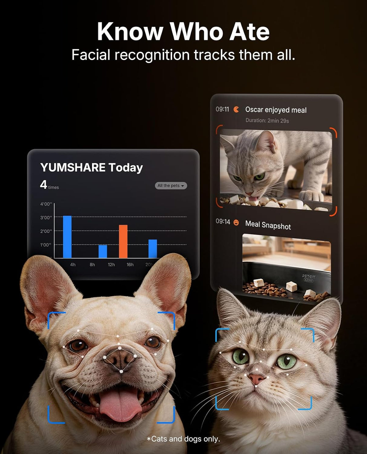 PETKIT multi cat facial recognition smart feeder showing app interface for individual pet feeding logs