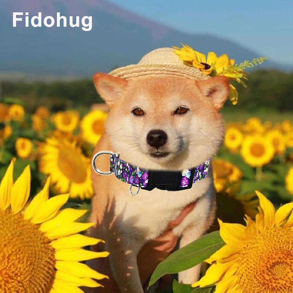 Fidohug anti escape training collar showing the metal D-ring attachment for secure leash control