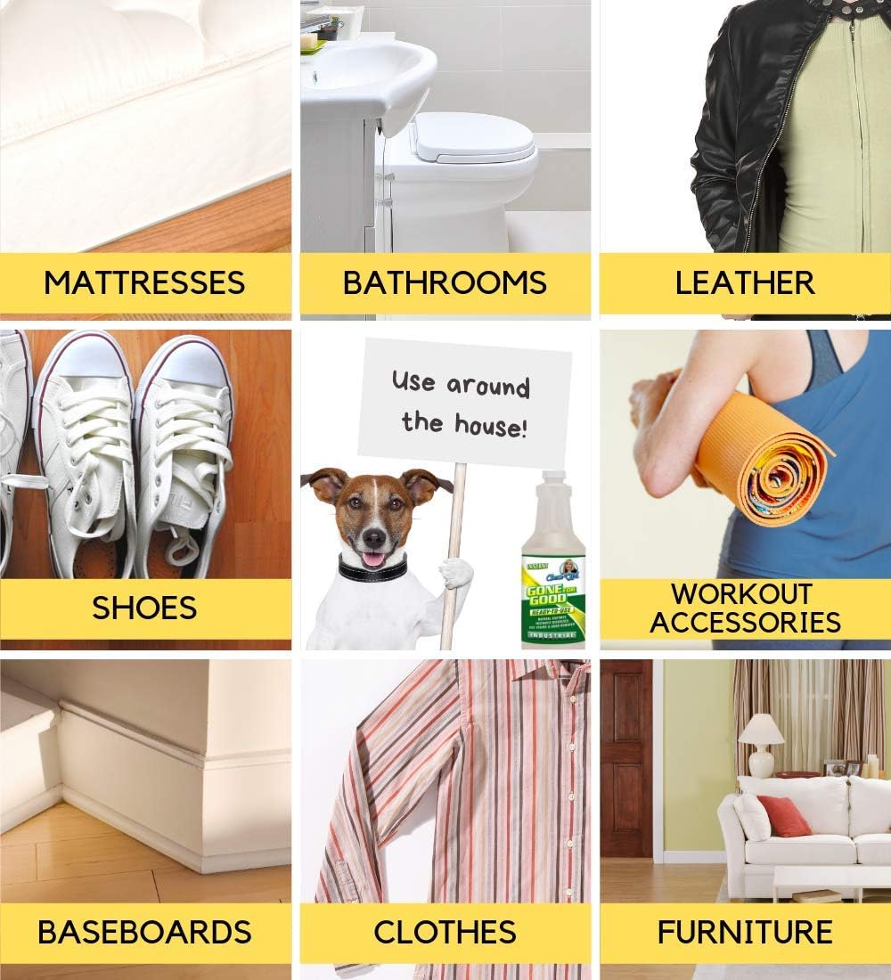 Natural four enzyme pet stain remover bottle demonstrating safe indoor and outdoor application for homes with dogs and cats.