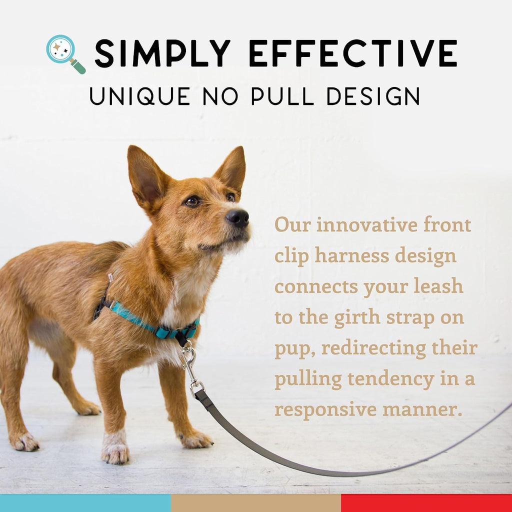 Side profile of Wildebeest 4-point adjustable dog harness