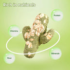 Abizoo natural oat bunny treats close up view displaying the organic fiber texture for small animal dental care