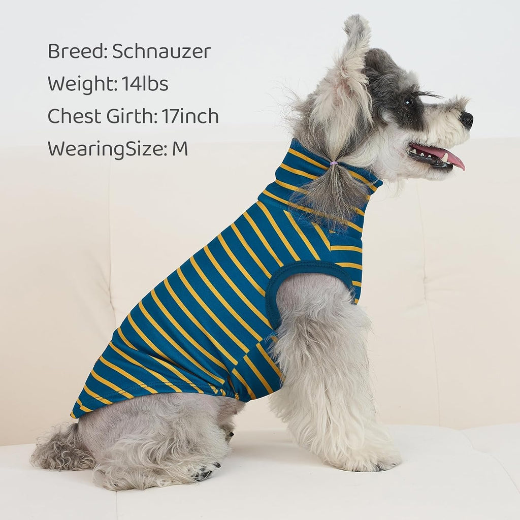 Back view detailing the high quality stitching and cozy turtleneck design of the navy dog clothes