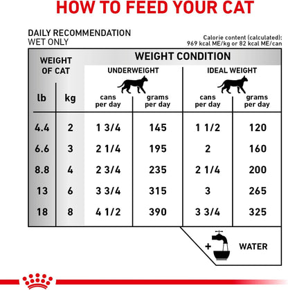 Six pack alignment of Royal Canin Feline Renal Support T adult wet food cans