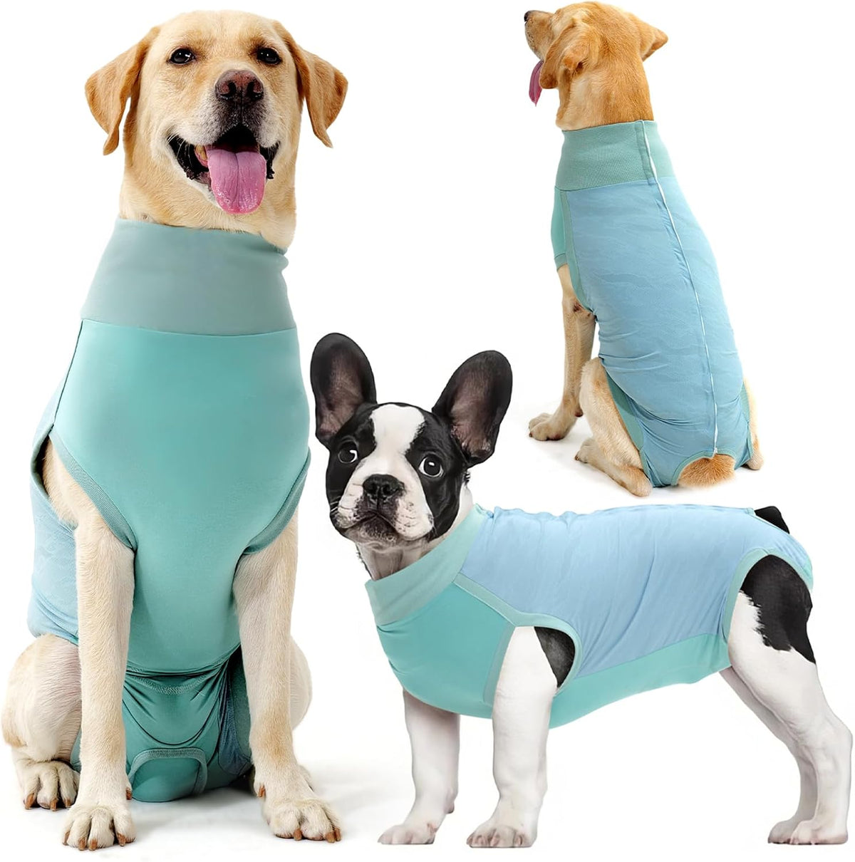 Dotoner authentic USA imported dog medical vest for stress-free post-op healing