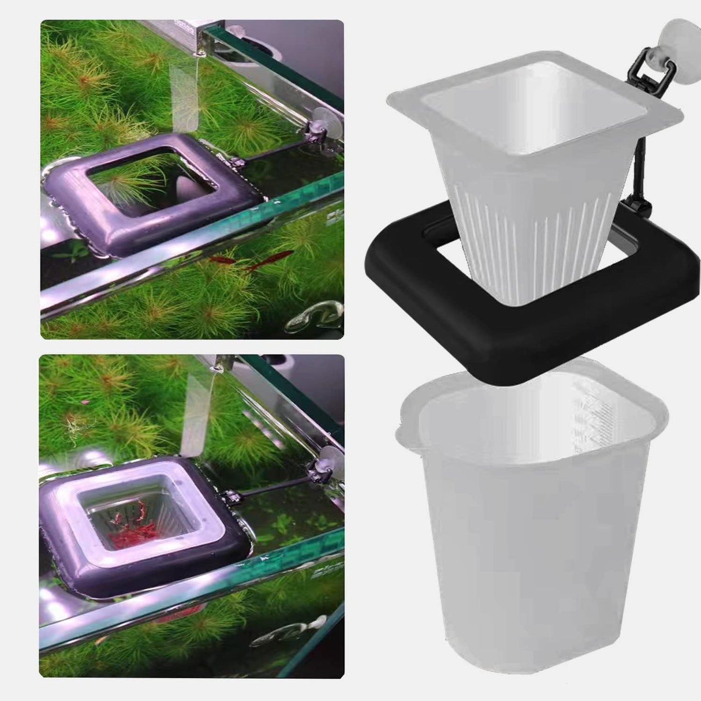 Fish Feeding Ring, Fish Safe Floating Food Feeder Circle Blue, with Suction Cup Aquarium, Square and Round Shape Fish Tank Towels - for Guppy, Betta, Goldfish, Etc (1 Circle) - Image 9