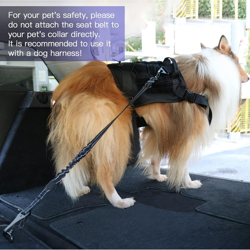 Shock absorbing bungee dog seat belt