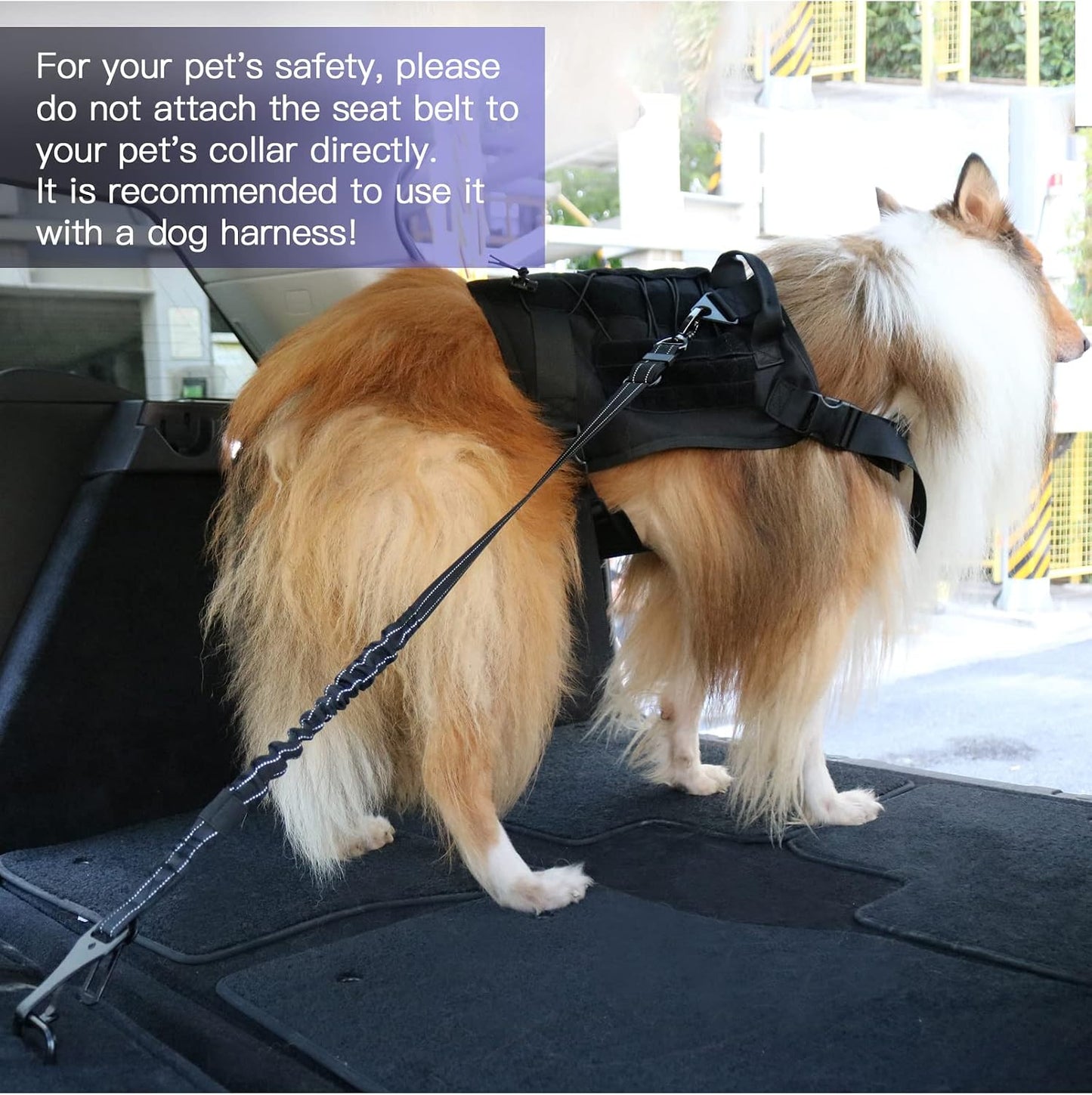 Shock absorbing bungee dog seat belt
