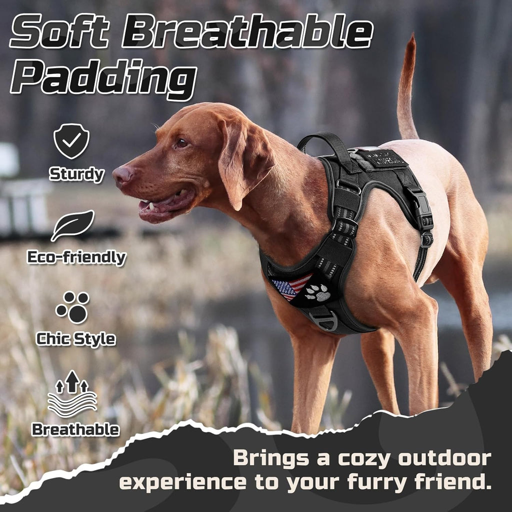 Detailed view of adjustable reflective straps on dog harness
