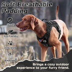 Detailed view of adjustable reflective straps on dog harness
