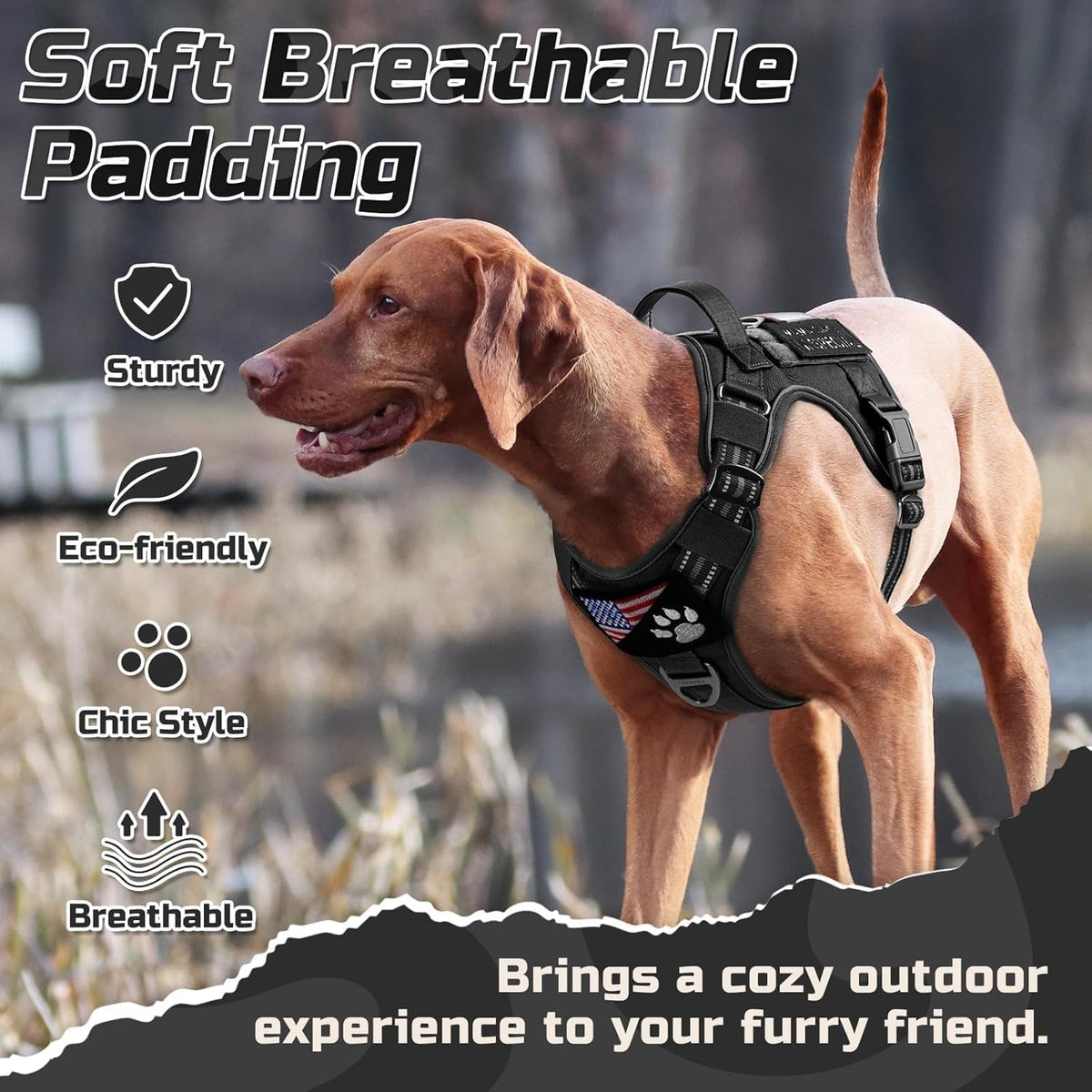 Detailed view of adjustable reflective straps on dog harness