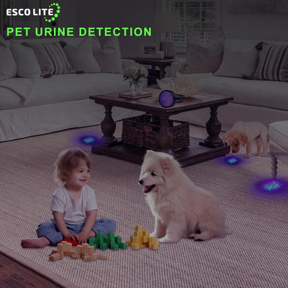 Escolite black light UV flashlight illuminated beam on carpet stains.