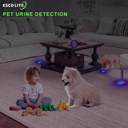 Escolite black light UV flashlight illuminated beam on carpet stains.