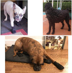 Top down view of HiPaw paw protectors showing breathable mesh fabric