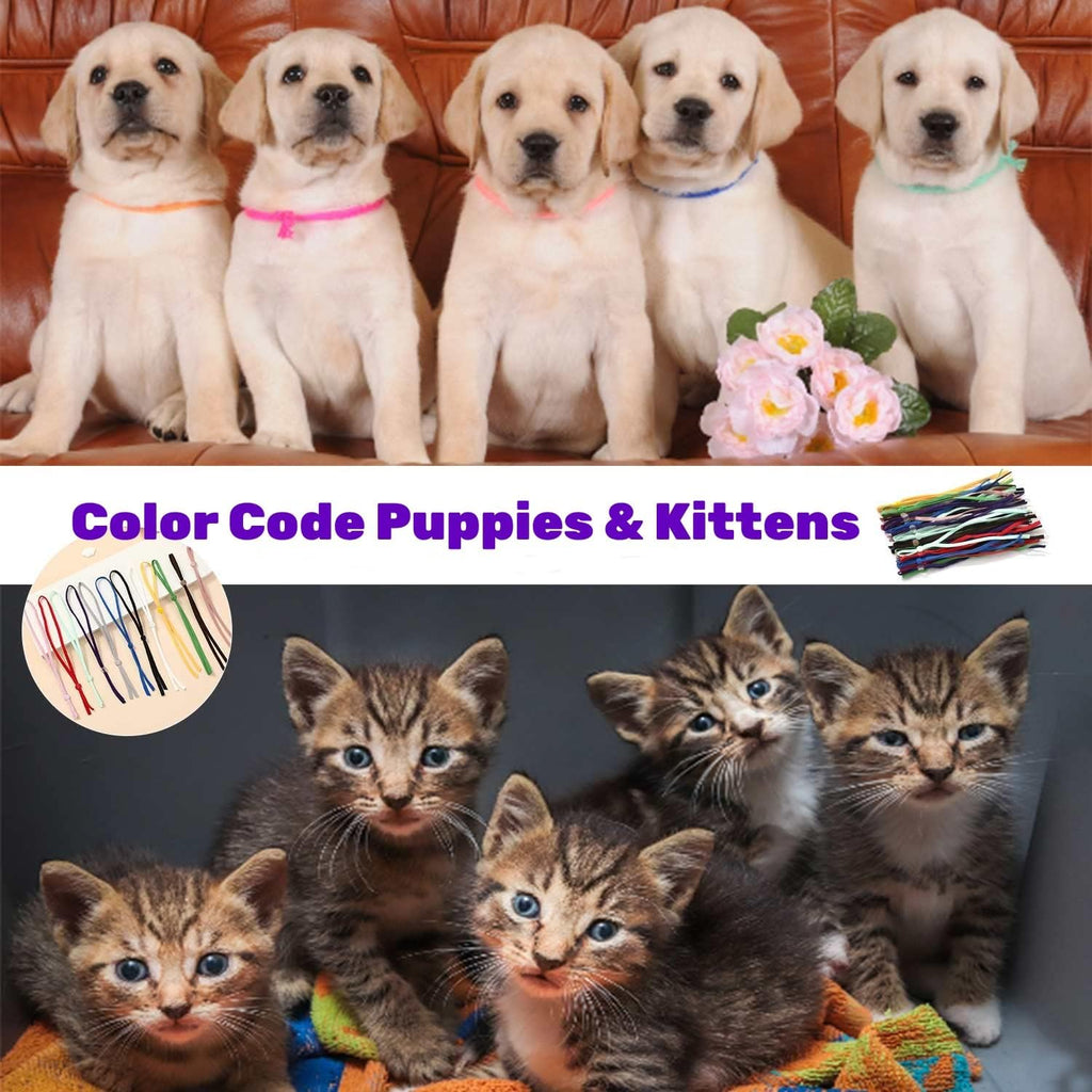 Washable and reusable breeding litter tracking collars
