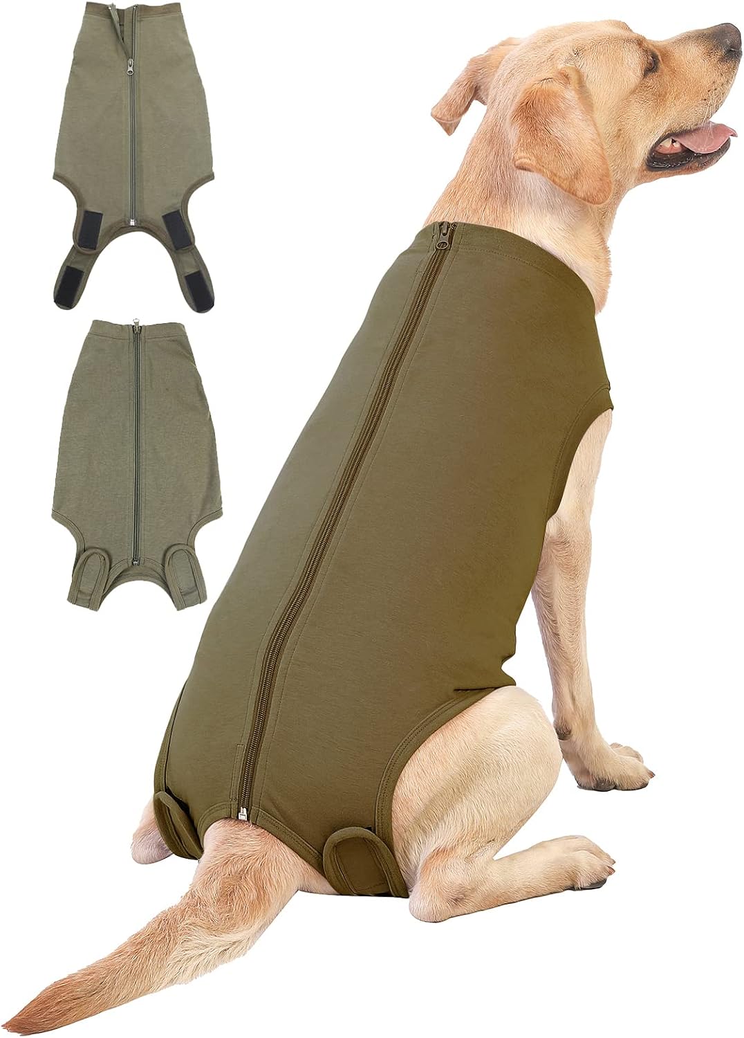 Stretchy comfortable post-operative wear for female dogs after spay