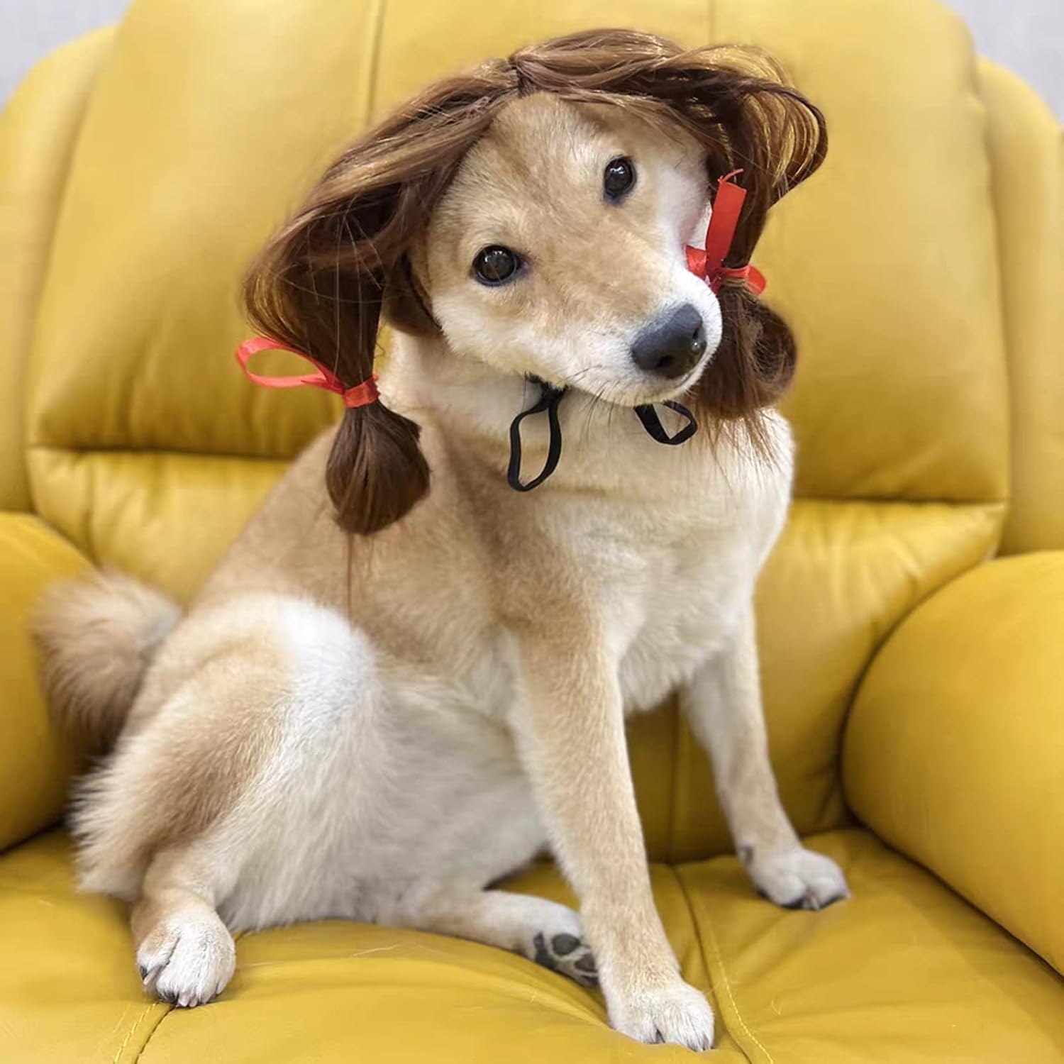 TESSVEYA black brown straight hair pet wig look for holiday photography sessions