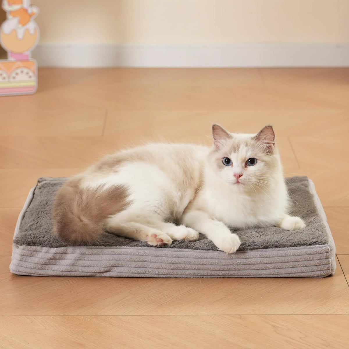 Petvolve thermal pet pad shown with a cat resting