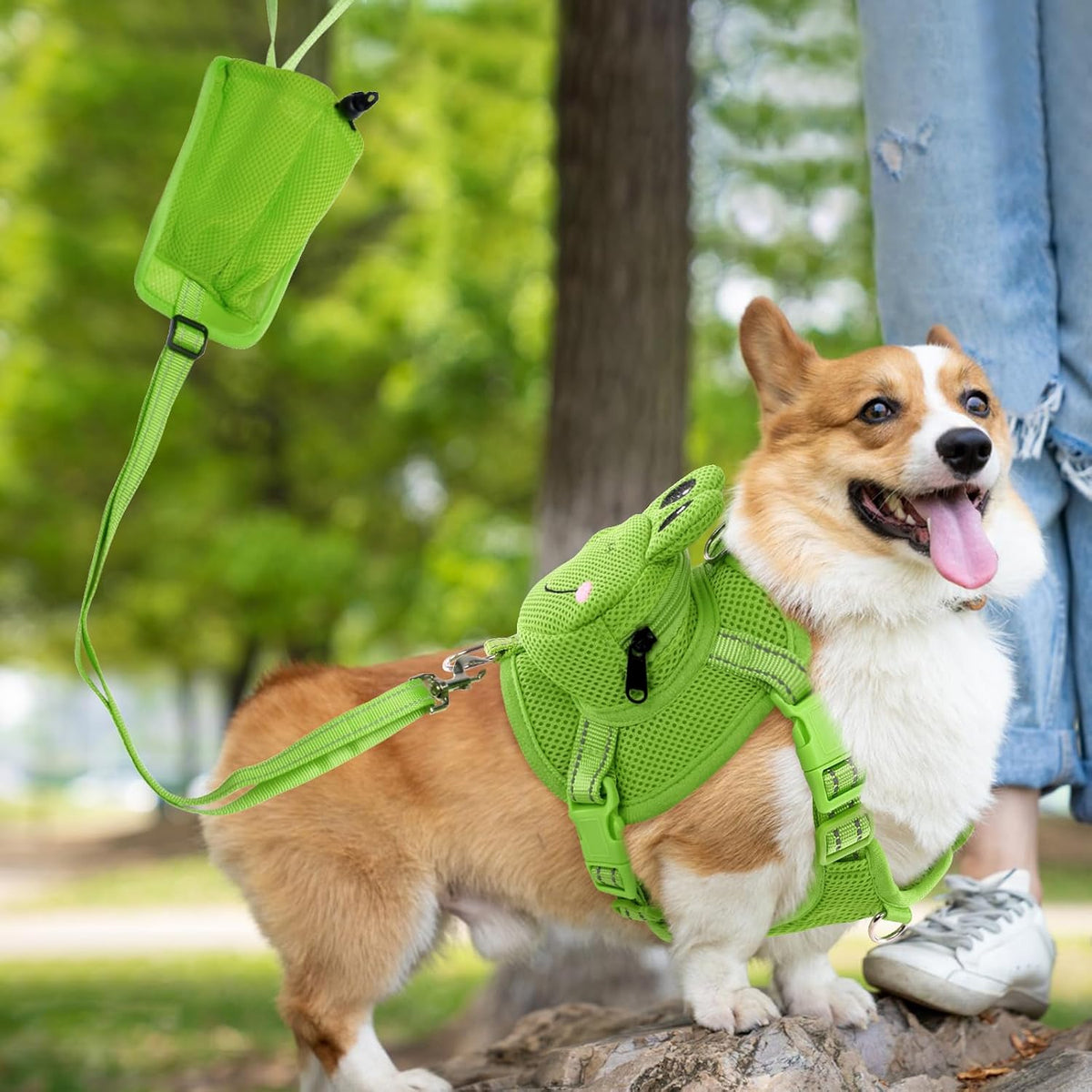 Metal D-ring connection on the no pull puppy hiking vest