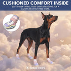 Top view of Spark Paws pet footwear showing adjustable fitting mechanism.
