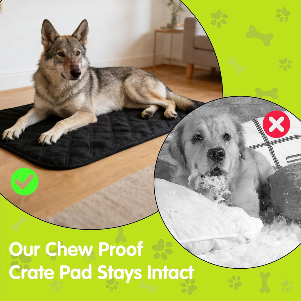 Small dog resting on durable chew proof crate liner