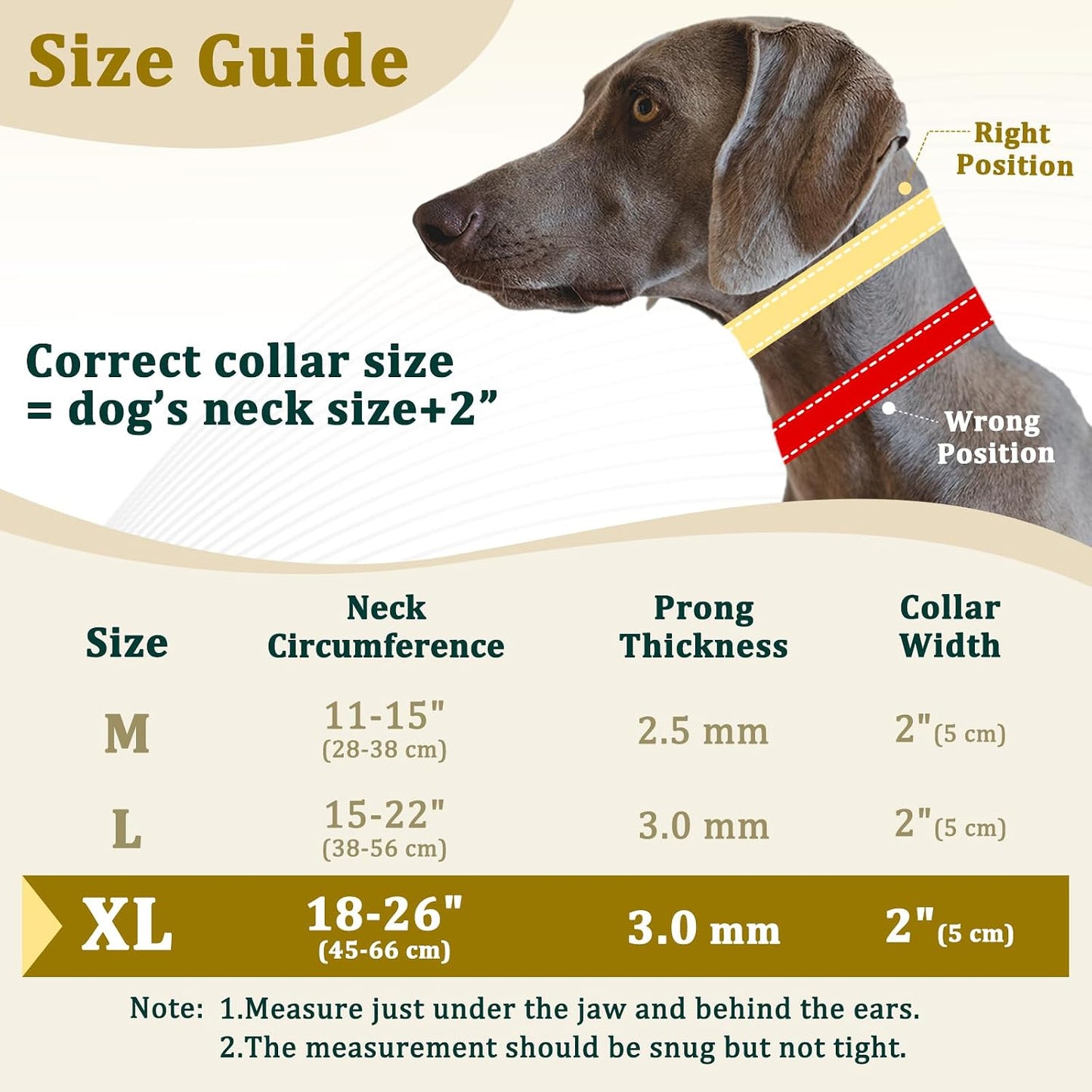 Mayerzon hidden pinch training collar showing interior stainless steel links with rubber comfort tips.