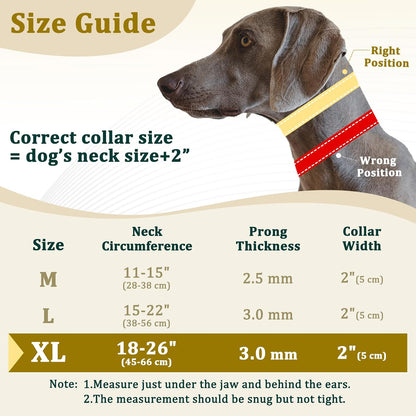 Mayerzon hidden pinch training collar showing interior stainless steel links with rubber comfort tips.