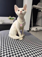 Adjustable jewelry clasp on Daovace pearl cat collar