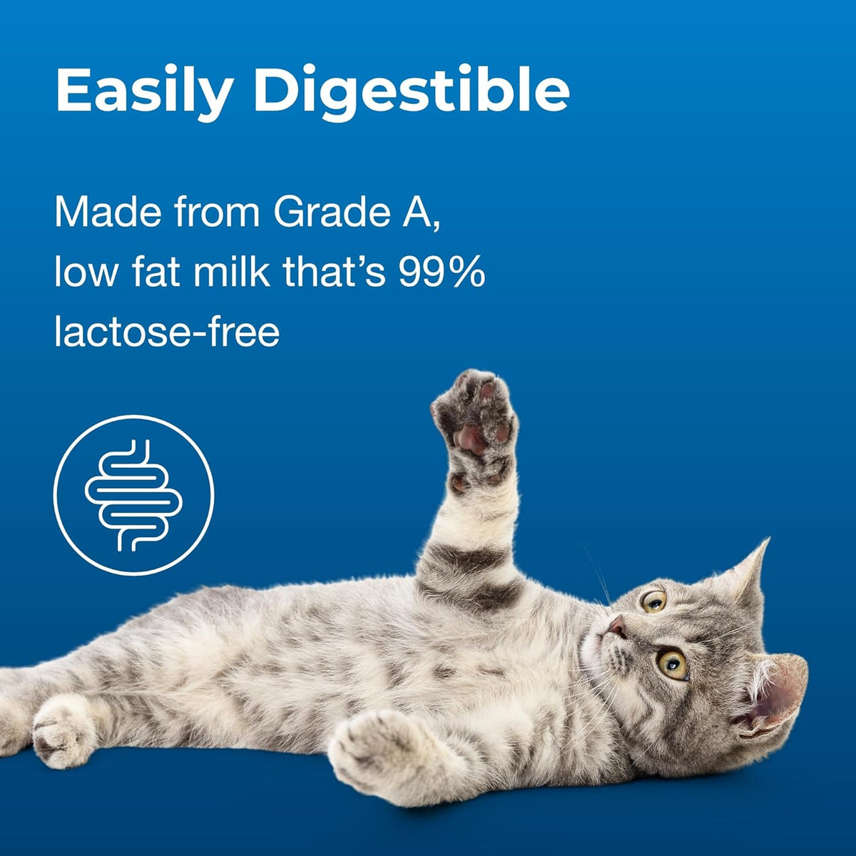 Close up view of PetAg Cat-Sip liquid formula texture